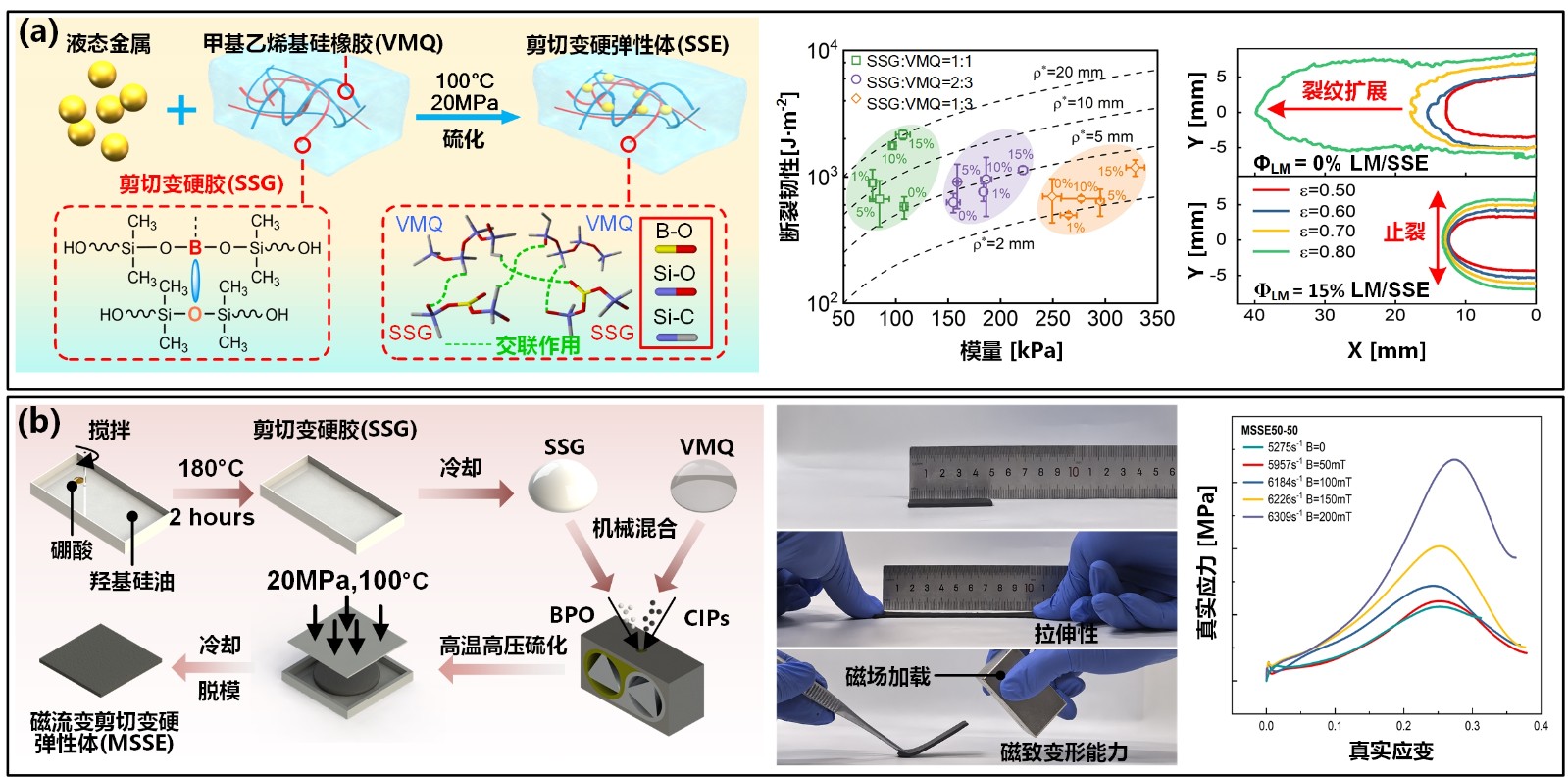 功能改性.jpg 功能改性.jpg
