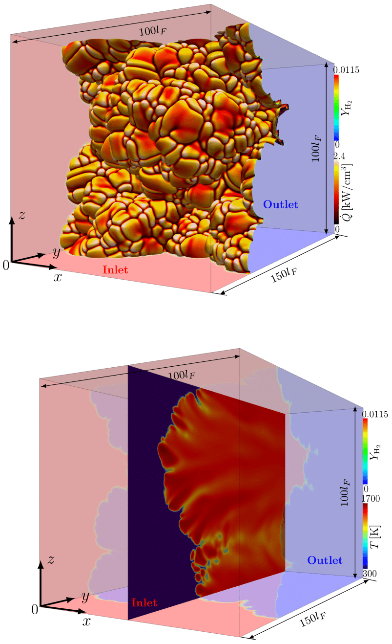 3D_cellular_HR_cut-1.png