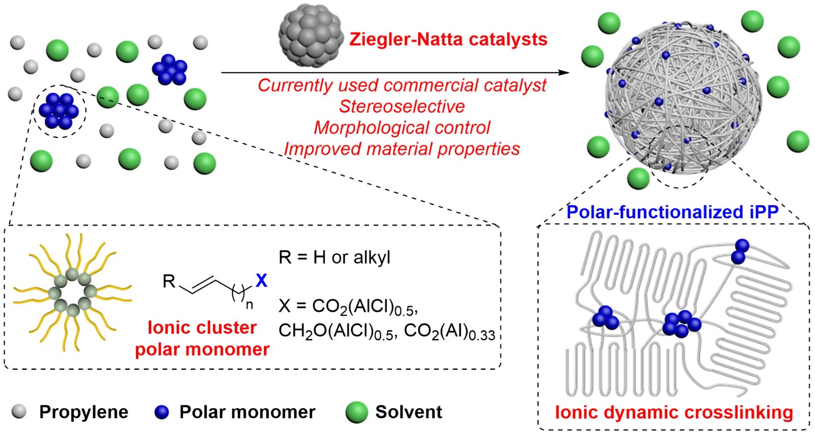 2024-JACs.jpg