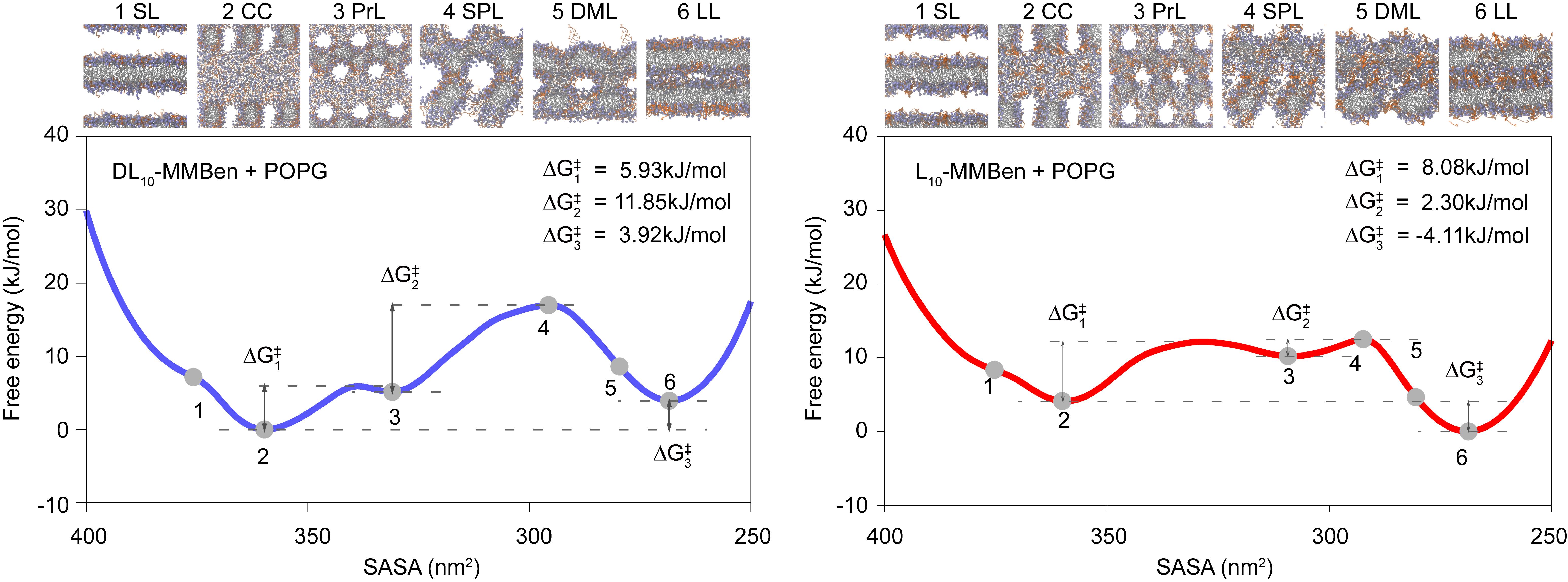 1d-double_layer-free-energy-pic-new.png