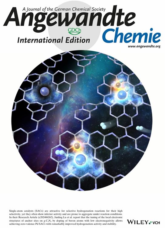 Angew. Chem. Int. Ed 2024 backcover.jpg