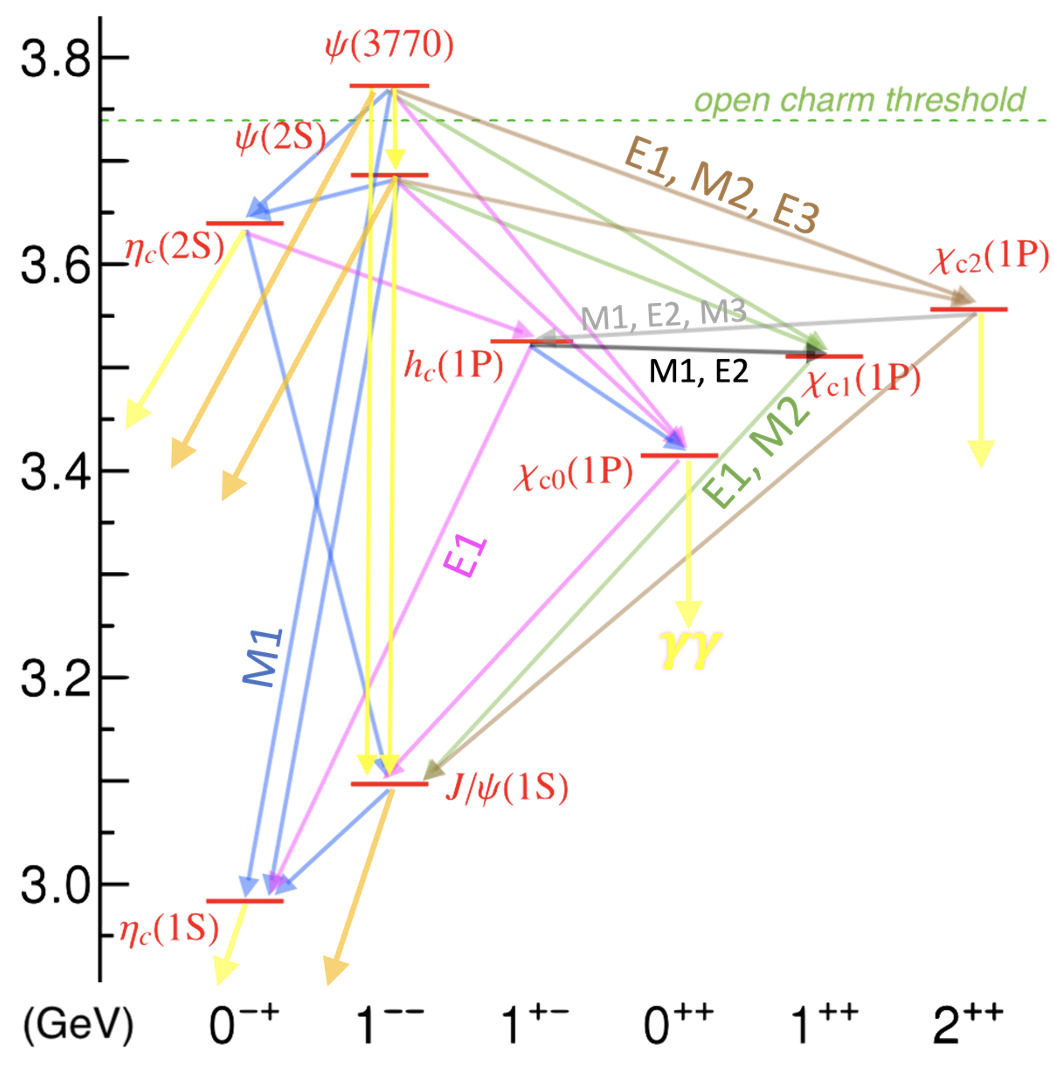 radiative_transitions_charmonium.png