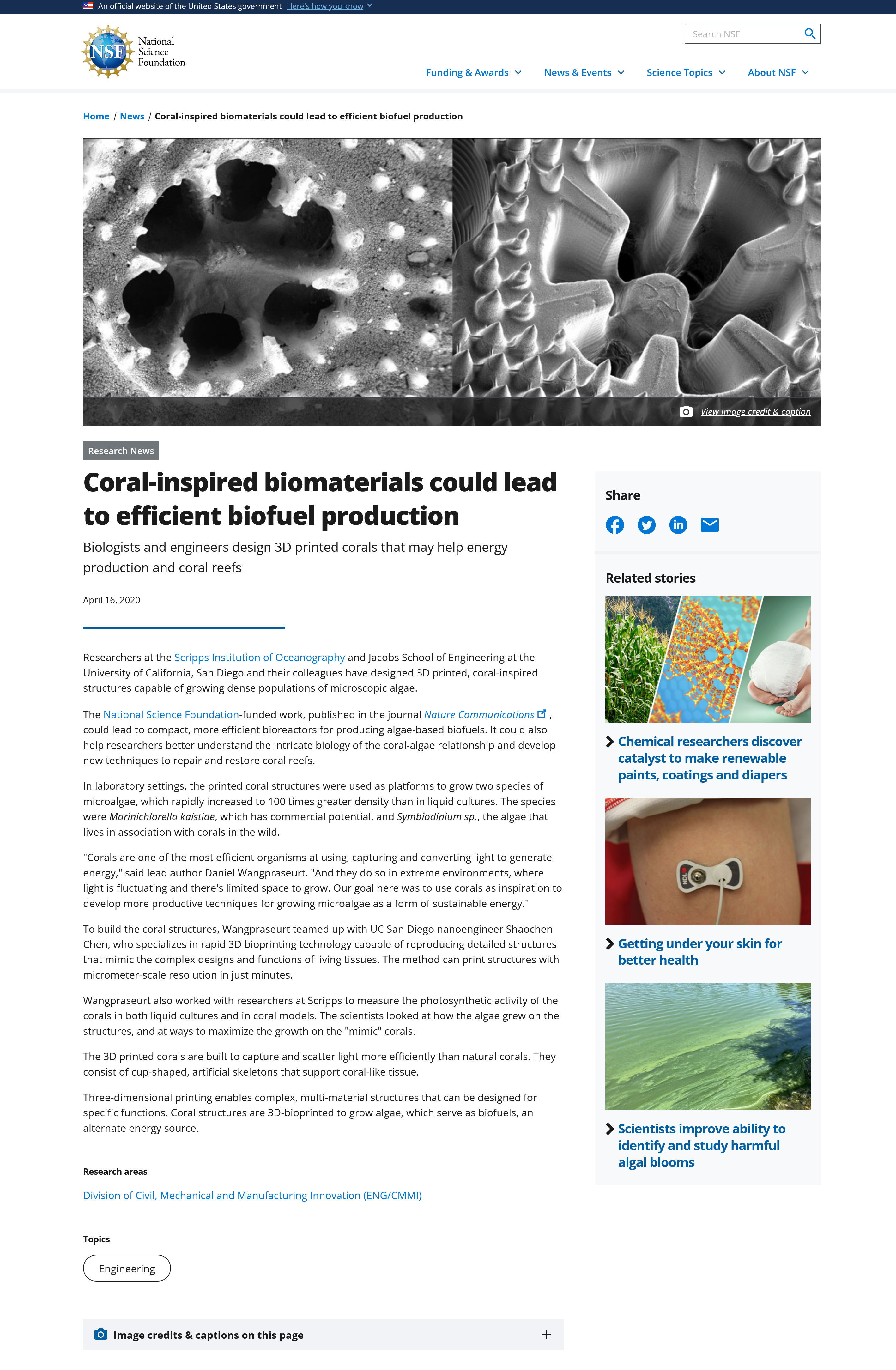 nsf news.png