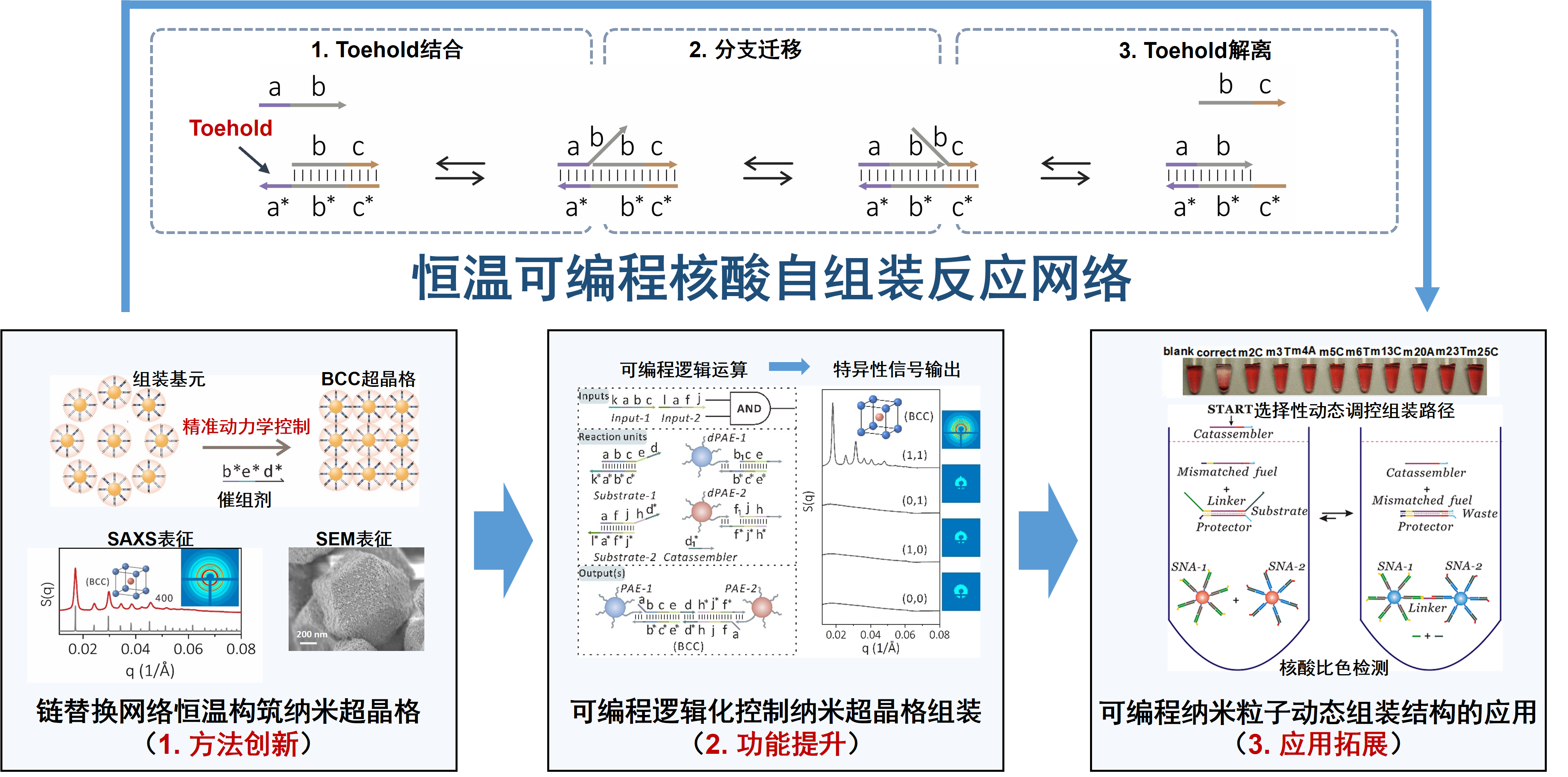 图片2.bmp