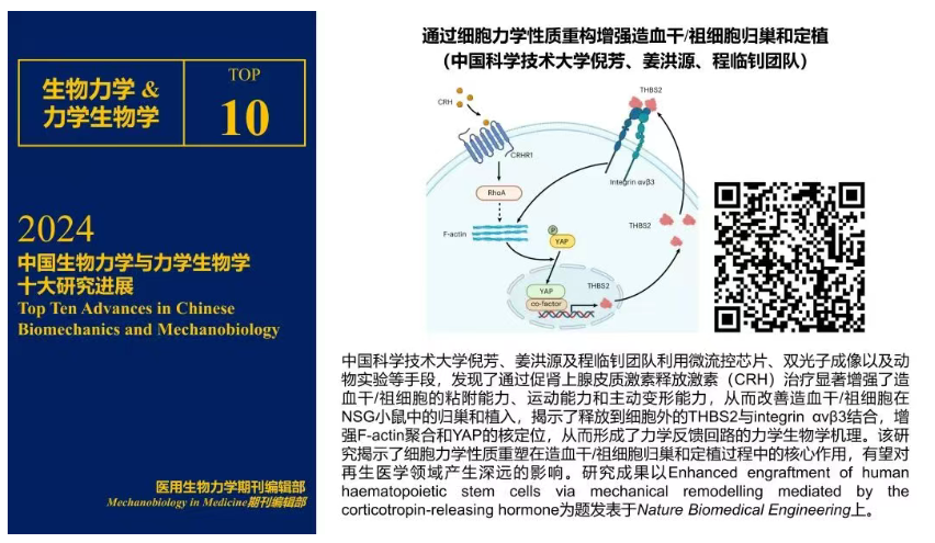 2024年度生物力学与力学生物学十大研究进展.png