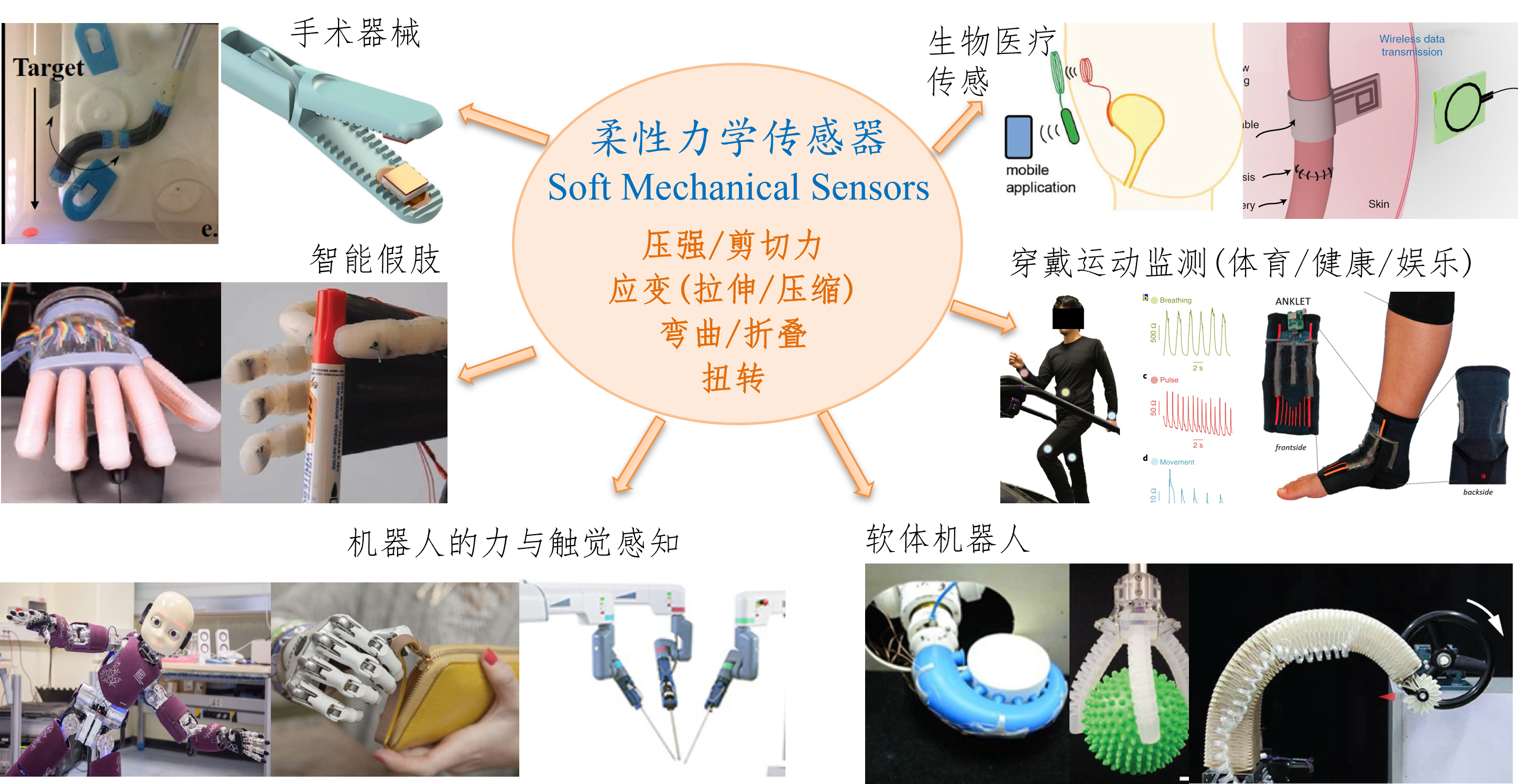 Res_Soft Mech Sensors_applications.png