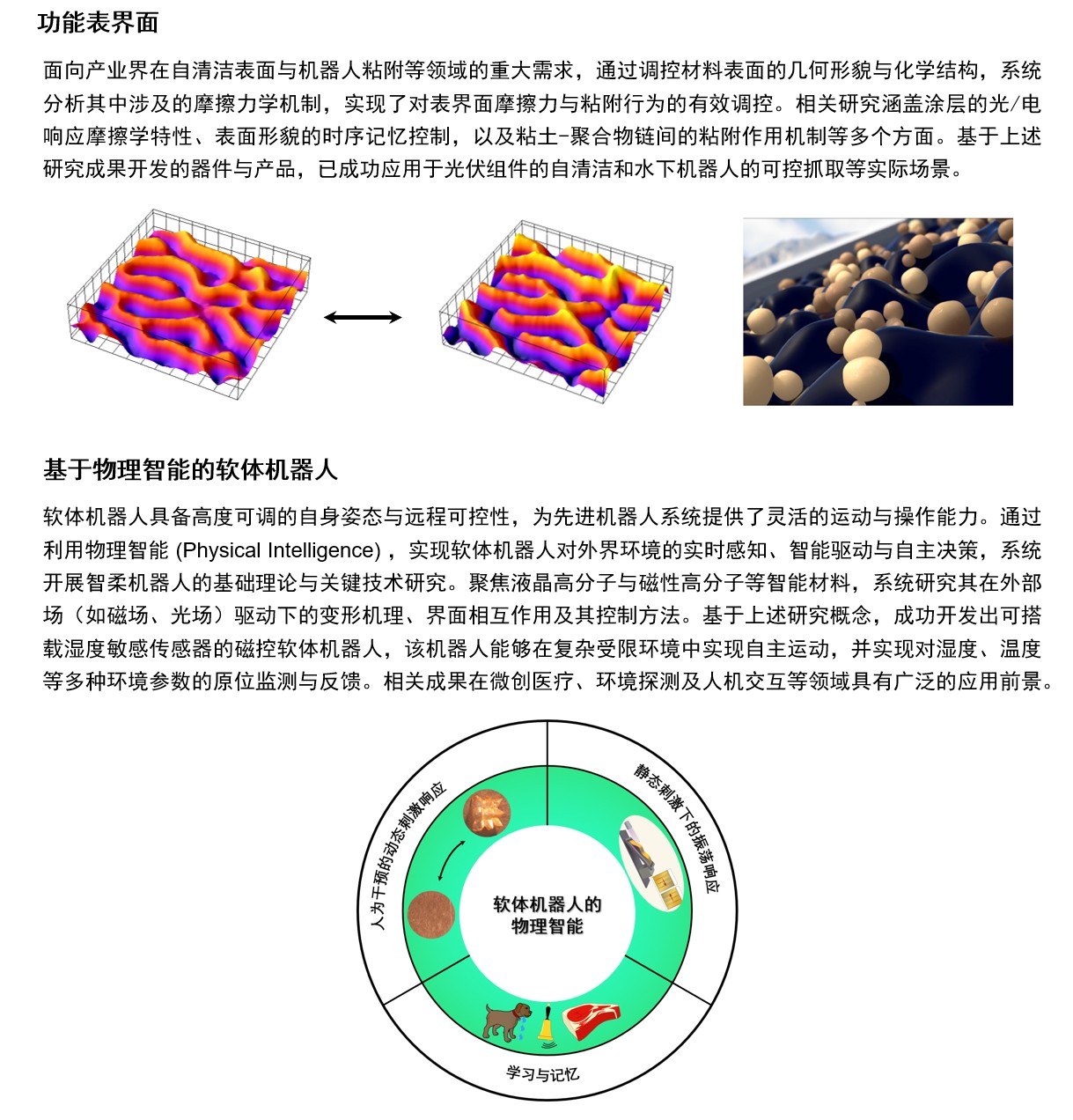 研究内容.jpg 研究内容.jpg