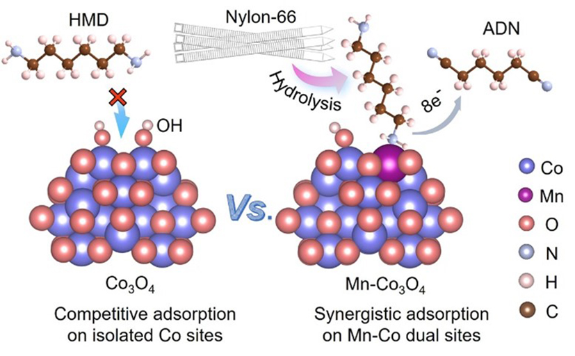 2026-Angew-2.jpg 2026-Angew-2.jpg