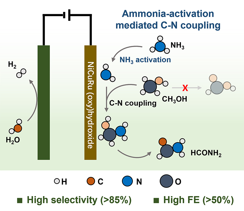 2026-Angew-1.jpg 2026-Angew-1.jpg