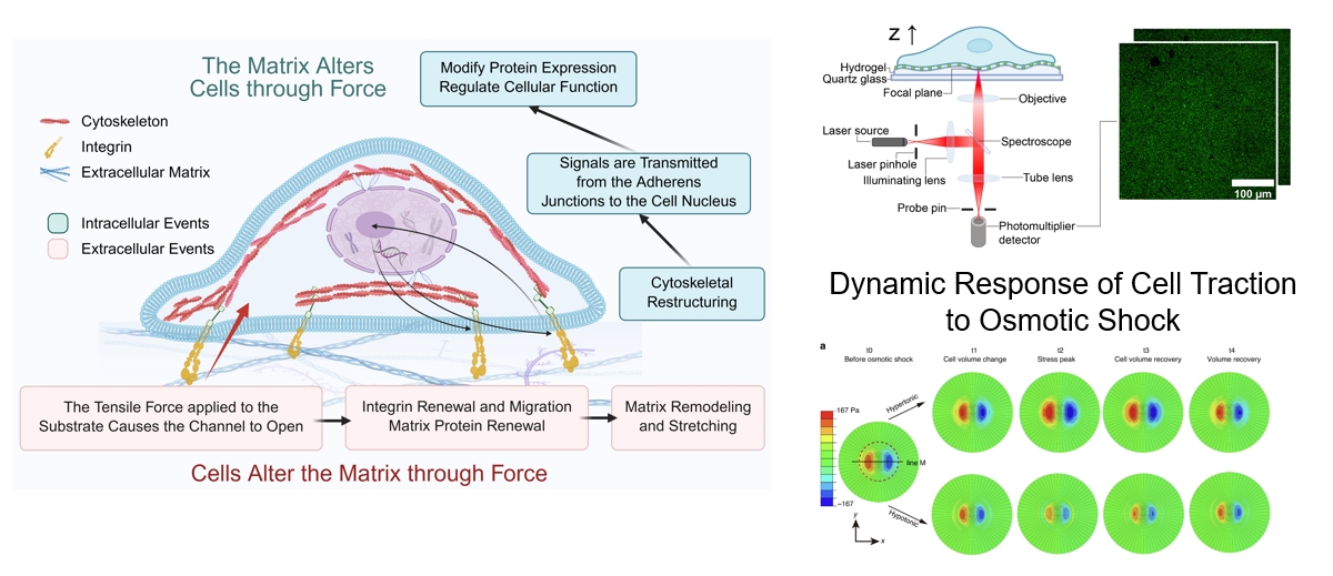 微信截图_20251031215234.png 微信截图_20251031215234.png