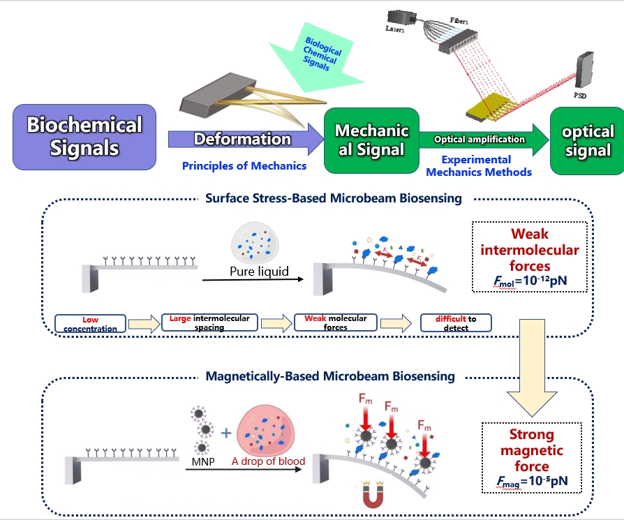 微信截图_20251031213709.png 微信截图_20251031213709.png