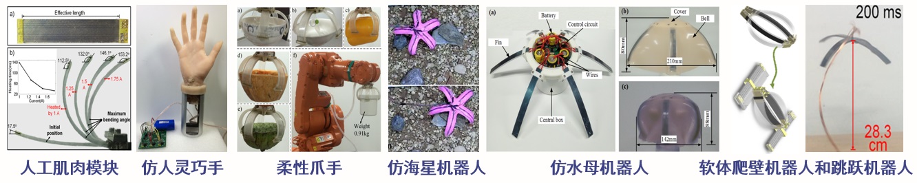 仿生机器人.jpg
