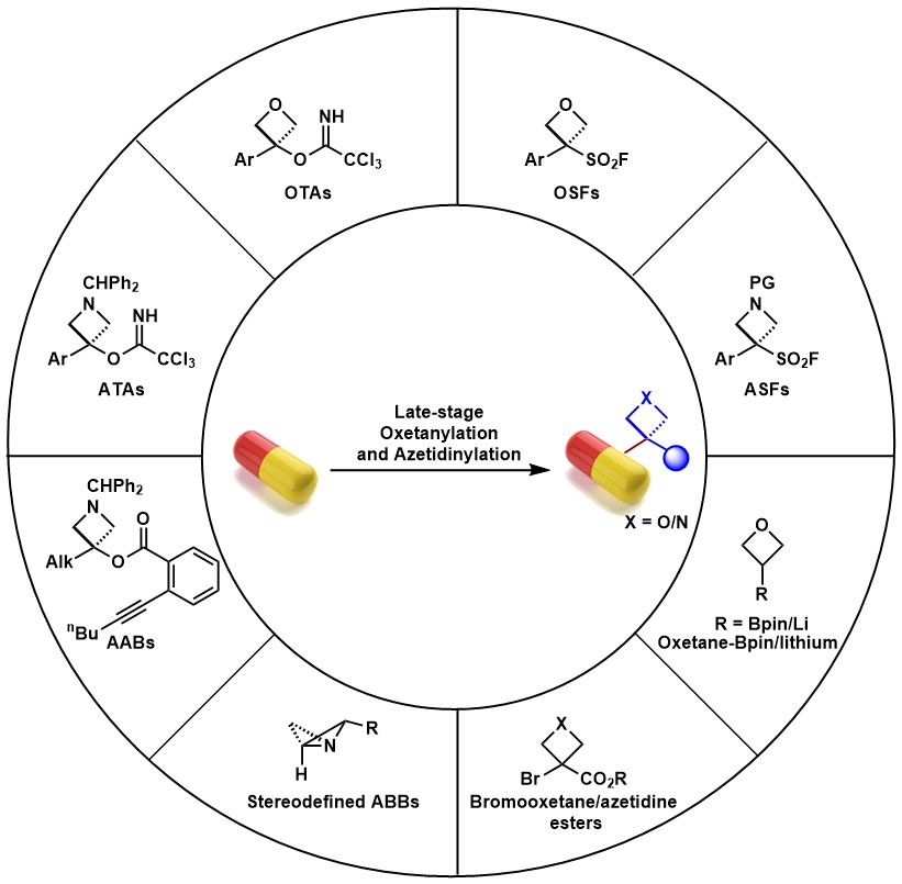 Graphical Abstract.jpg