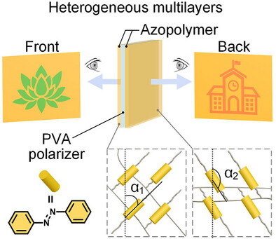 文献照片1.png 文献照片1.png