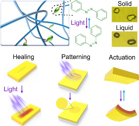 重要论文21.png 重要论文21.png