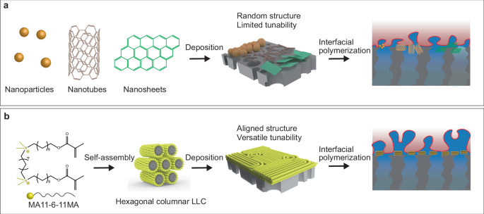 41467_2025_68116_Fig1_HTML.png 41467_2025_68116_Fig1_HTML.png