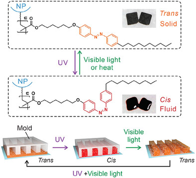 文献照片2.png 文献照片2.png