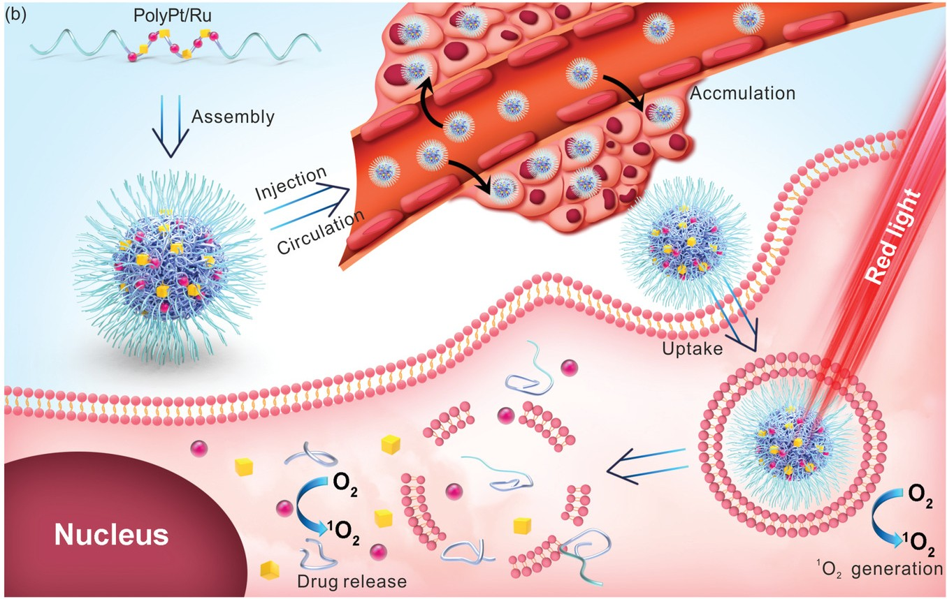 重点论文9.png 重点论文9.png