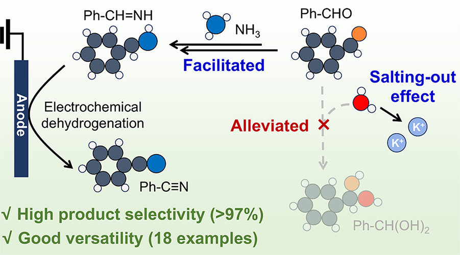 2026-JACS-3.jpg 2026-JACS-3.jpg