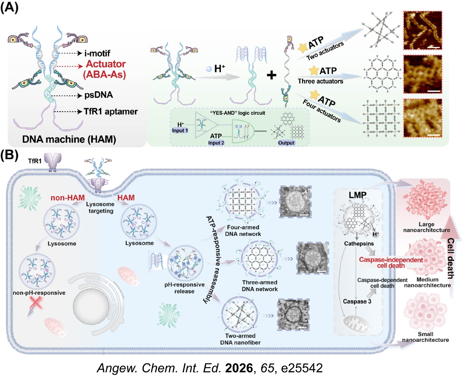 cover2.jpg