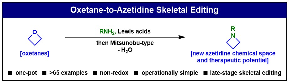 OXETANE-TO-AZETIDINE.jpg OXETANE-TO-AZETIDINE.jpg