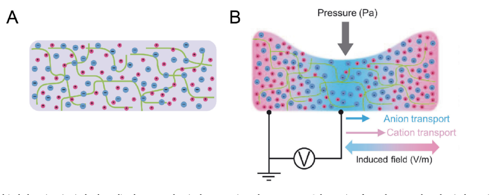 Electroactive hydrogel force-to-electricity concept