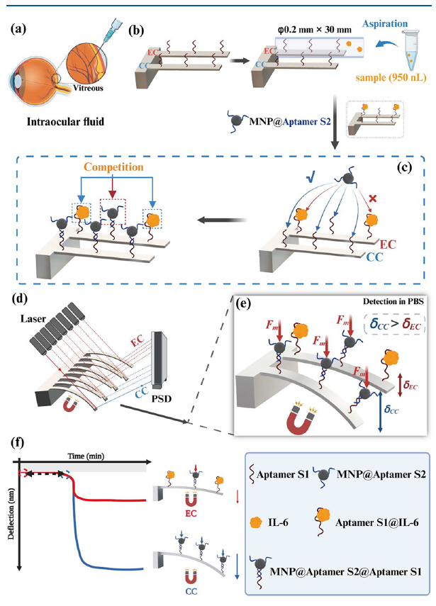 Ultrasensitive magnetic nanomechanical sensing concept