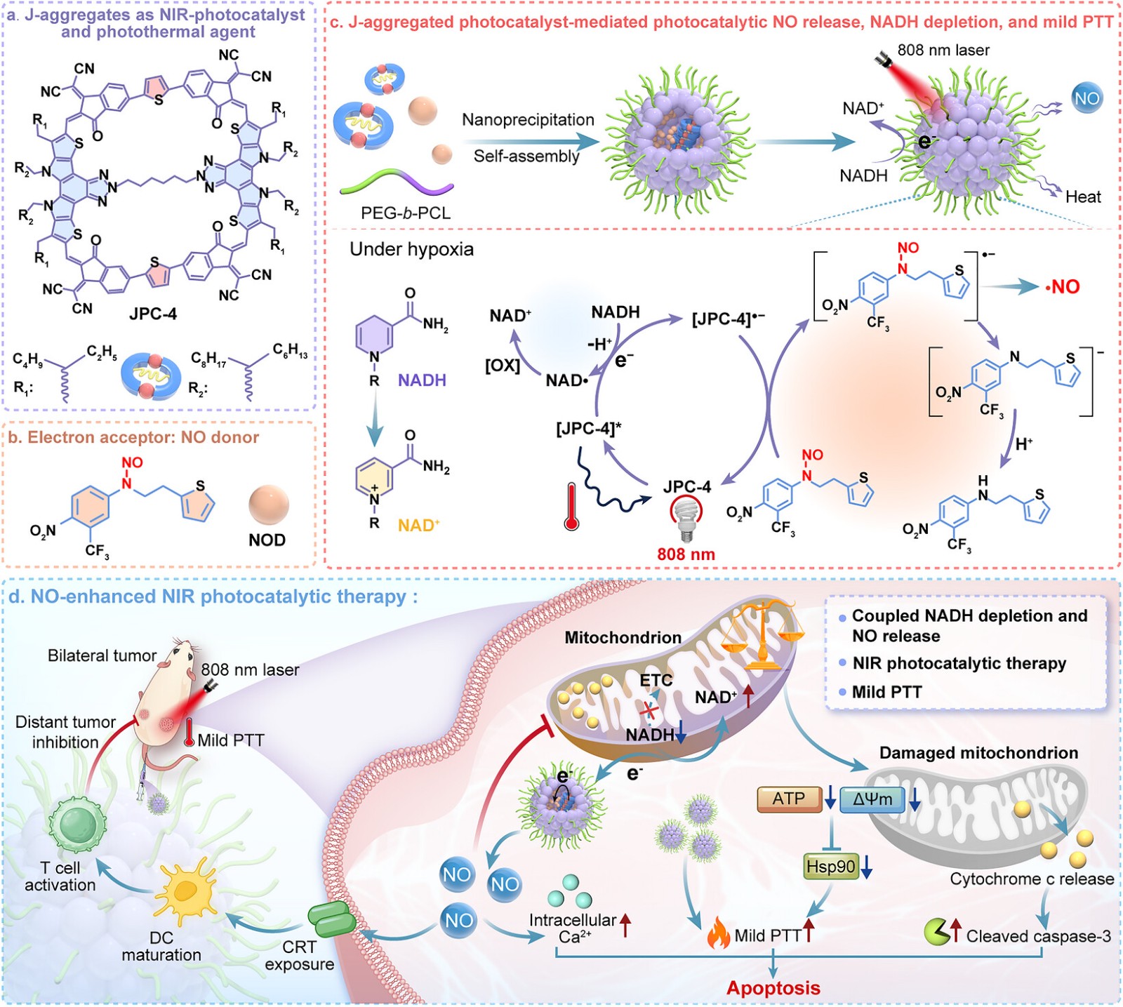 anie74032-fig-0008-m.jpg