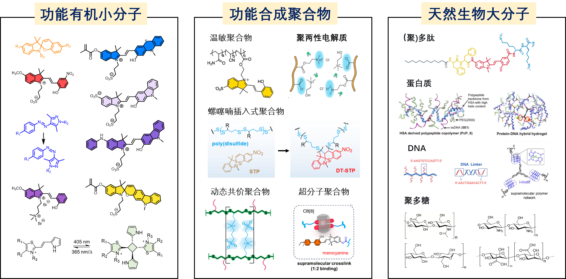 微信图片_2026-09-07_203407_790.png