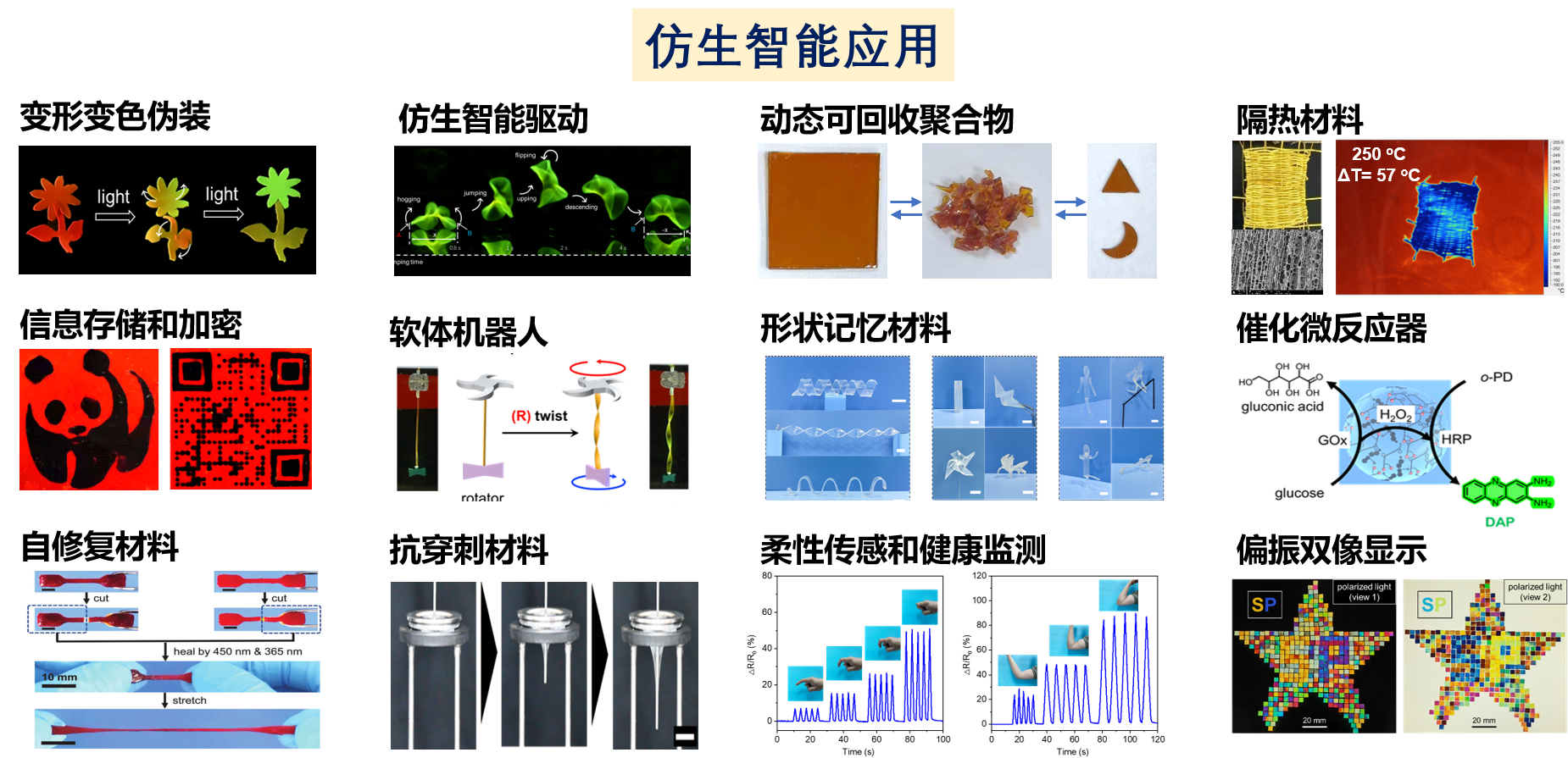 微信图片_2026-09-07_203518_311.png