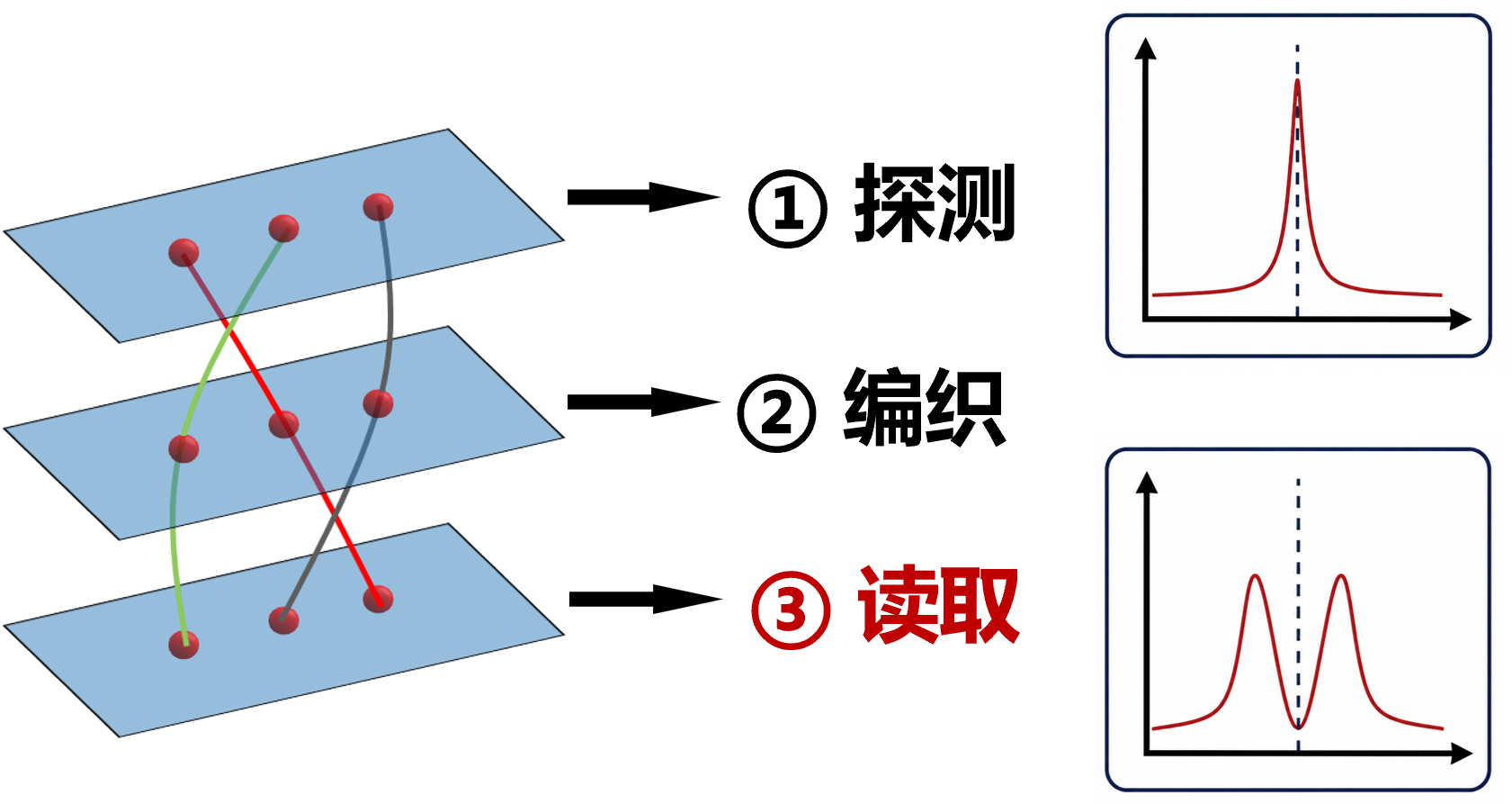 topologcial bite.png