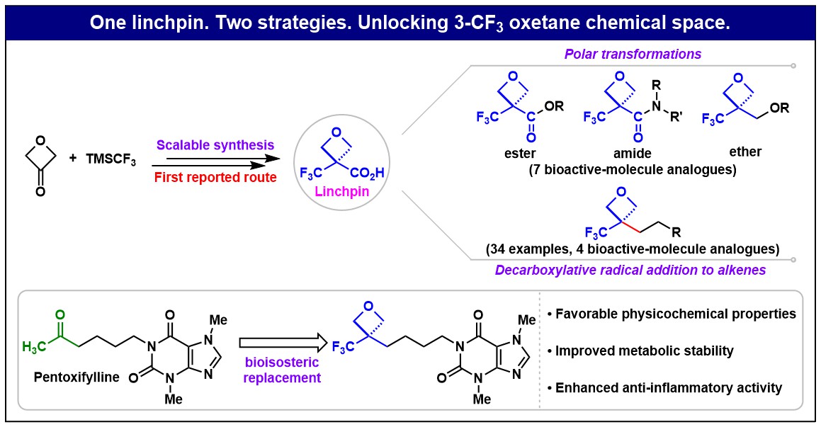 CF3 OXETANE.jpg